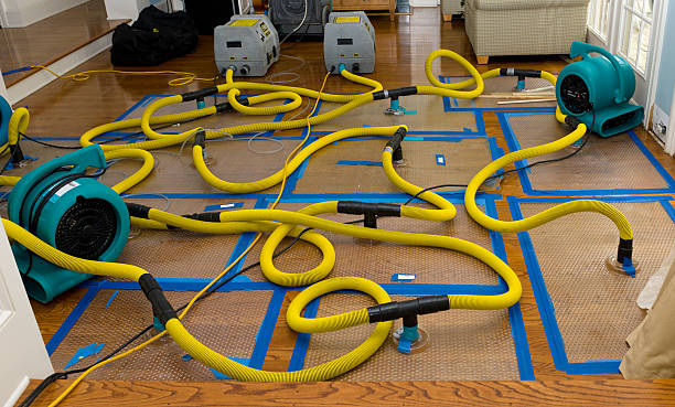 Professional Basement Flood Cleanup technician working in Big Lake, WA
